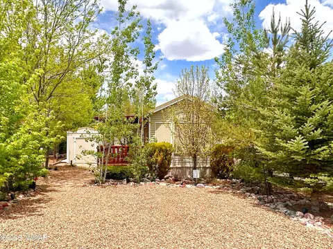 2236 Rodeo Rd, Overgaard, AZ 85933 photo 3