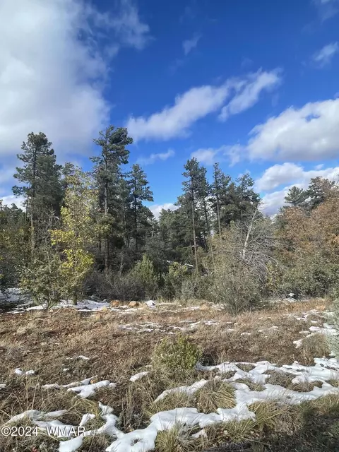 6029 Orion Dr, Lakeside, AZ 85929