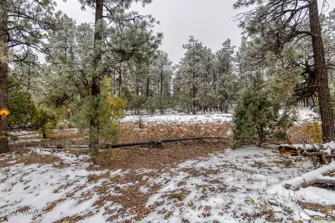 4383 S 24th St, Show Low, AZ 85901