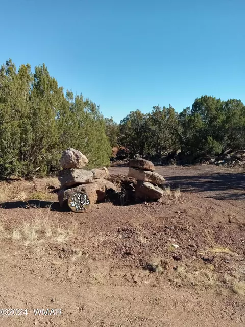 1783 Bemus Pl, Show Low, AZ 85901