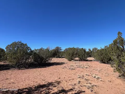 3858 Ramsey Rd, Snowflake, AZ 85937 photo 6