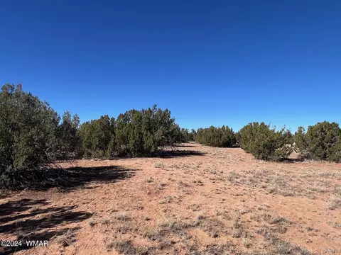 3858 Ramsey Rd, Snowflake, AZ 85937 photo 4