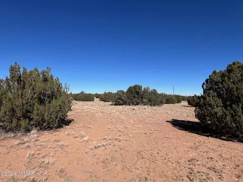 3858 Ramsey Rd, Snowflake, AZ 85937