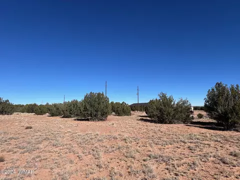 3858 Ramsey Rd, Snowflake, AZ 85937 photo 3