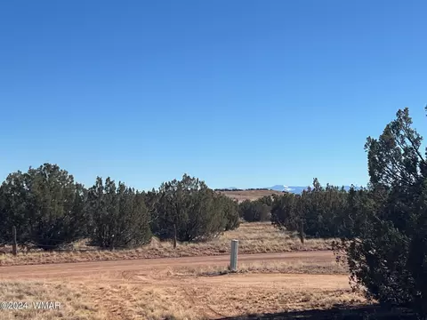 3858 Ramsey Rd, Snowflake, AZ 85937 photo 8