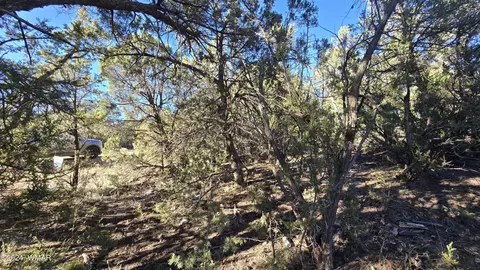 3503 Pine Rim Dr, Overgaard, AZ 85933