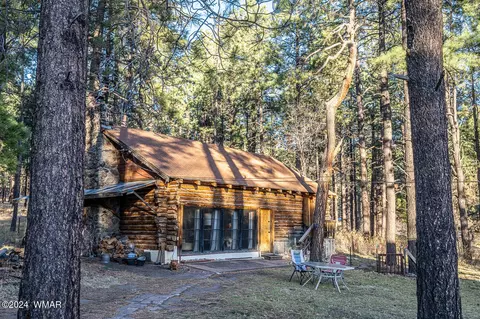 28 County Rd N2175, Alpine, AZ 85920 photo 63