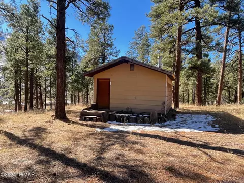 28 County Rd N2175, Alpine, AZ 85920 photo 64