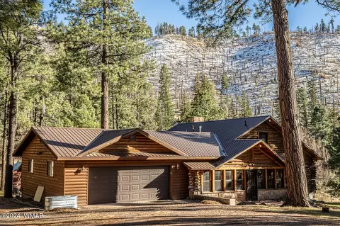 28 County Rd N2175, Alpine, AZ 85920