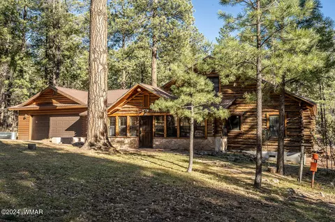 28 County Rd N2175, Alpine, AZ 85920 photo 9