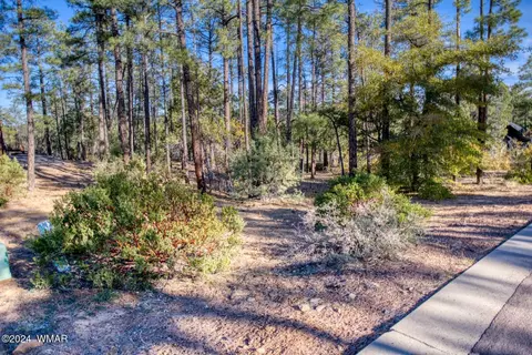 1825 S Pleasant View Dr, Show Low, AZ 85901