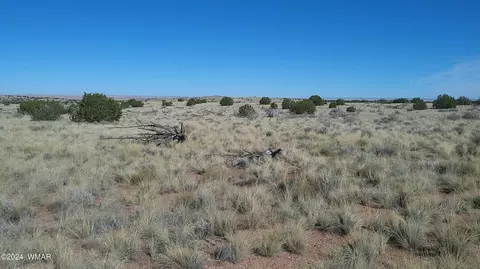 8652 Johnsons Hill Trl, Snowflake, AZ 85937