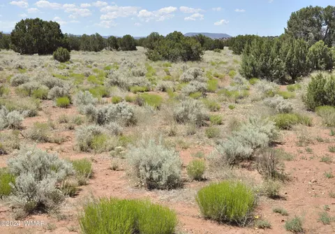 697 County Rd 9047, Concho, AZ 85924