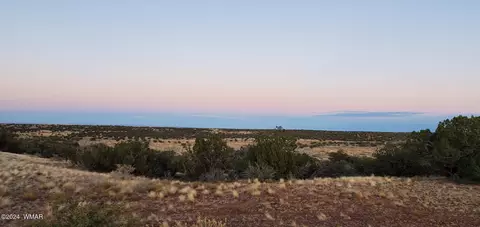 4230 Stirrup Rd, Snowflake, AZ 85937 photo 15