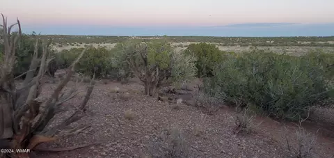 4230 Stirrup Rd, Snowflake, AZ 85937 photo 14