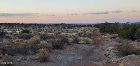 4230 Stirrup Rd, Snowflake, AZ 85937 photo 8