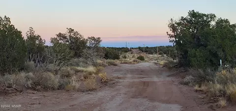 4230 Stirrup Rd, Snowflake, AZ 85937 photo 7