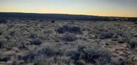 4230 Stirrup Rd, Snowflake, AZ 85937 photo 4