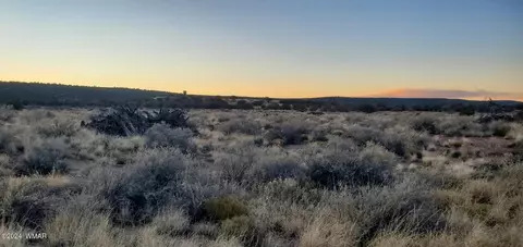 4230 Stirrup Rd, Snowflake, AZ 85937 photo 3