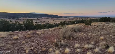 4230 Stirrup Rd, Snowflake, AZ 85937 photo 17