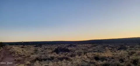 4230 Stirrup Rd, Snowflake, AZ 85937 photo 5