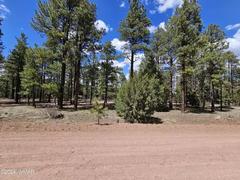lot77 County Road 2223, Nutrioso, AZ 85932