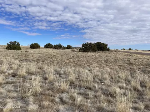 tbd Indian Village Rd, Taylor, AZ 85939