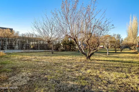 Exterior - 653 S Burk St, Eagar, AZ 85925 photo 8 of 9