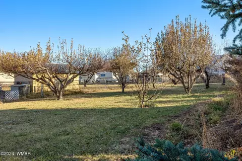 Exterior - 653 S Burk St, Eagar, AZ 85925 photo 7 of 9
