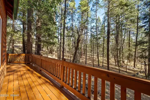 14 County Road 2067, Alpine, AZ 85920 photo 21
