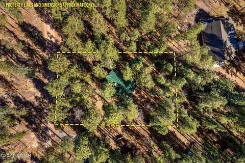 14 County Road 2067, Alpine, AZ 85920 photo 24