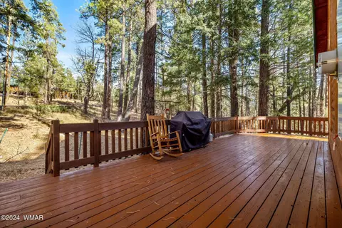 14 County Road 2067, Alpine, AZ 85920 photo 5