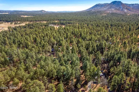 14 County Road 2067, Alpine, AZ 85920 photo 25