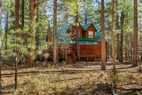 14 County Road 2067, Alpine, AZ 85920 photo 14