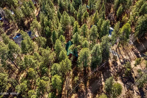 14 County Road 2067, Alpine, AZ 85920 photo 26