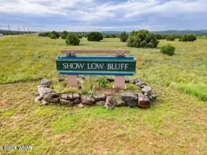 1061 S Lorenzo Sitgreaves Dr, Show Low, AZ 85901