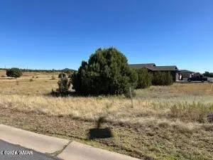 1141 S Ridgeline Dr, Show Low, AZ 85901