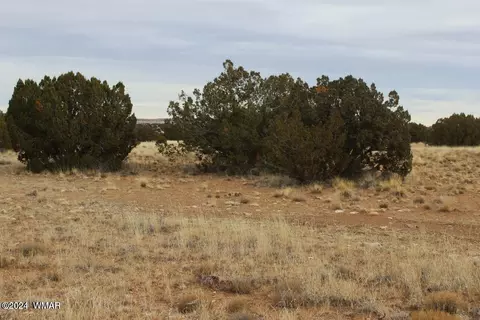 2131 Pinion Rd, Heber, AZ 85928 photo 3