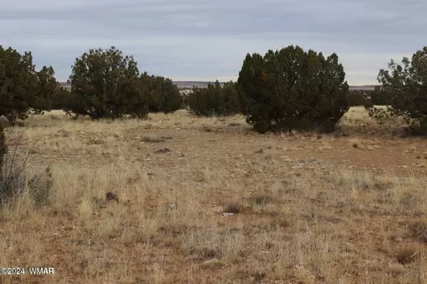 2131 Pinion Rd, Heber, AZ 85928