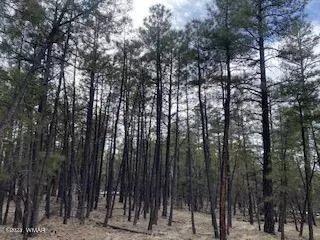 2380 S Pinegrass Rd, Show Low, AZ 85901