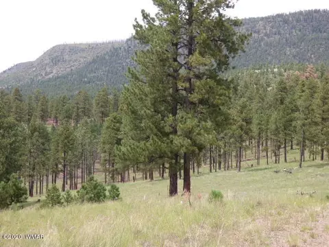lot14 The Ranch At Alpine, Alpine, AZ 85920