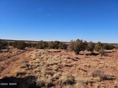 3975 Encanto Rd, Snowflake, AZ 85937 photo 6