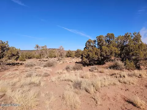 3975 Encanto Rd, Snowflake, AZ 85937 photo 5