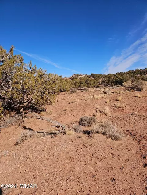 3975 Encanto Rd, Snowflake, AZ 85937 photo 8