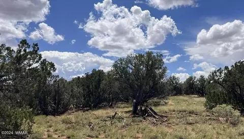 40624066 Apache Rd, Snowflake, AZ 85937 photo 2