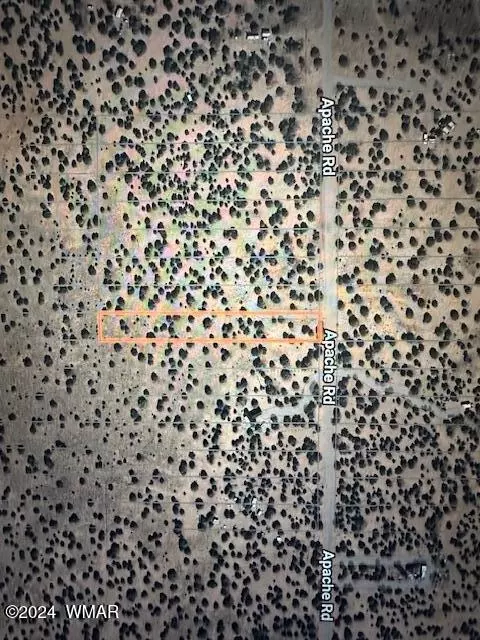 40624066 Apache Rd, Snowflake, AZ 85937 photo 3