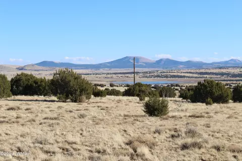 23 County Road 8014, Concho, AZ 85924
