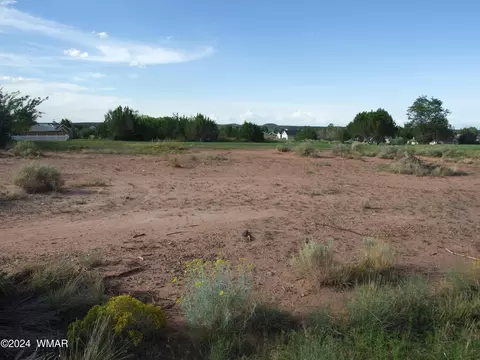 tbd W Cedar Crest Dr, Snowflake, AZ 85937