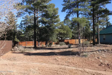 tbd N Canyon Loop, Show Low, AZ 85901