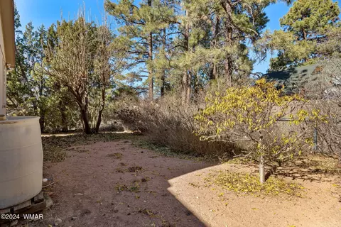 1976 Pine Cone Cir, Overgaard, AZ 85933 photo 24
